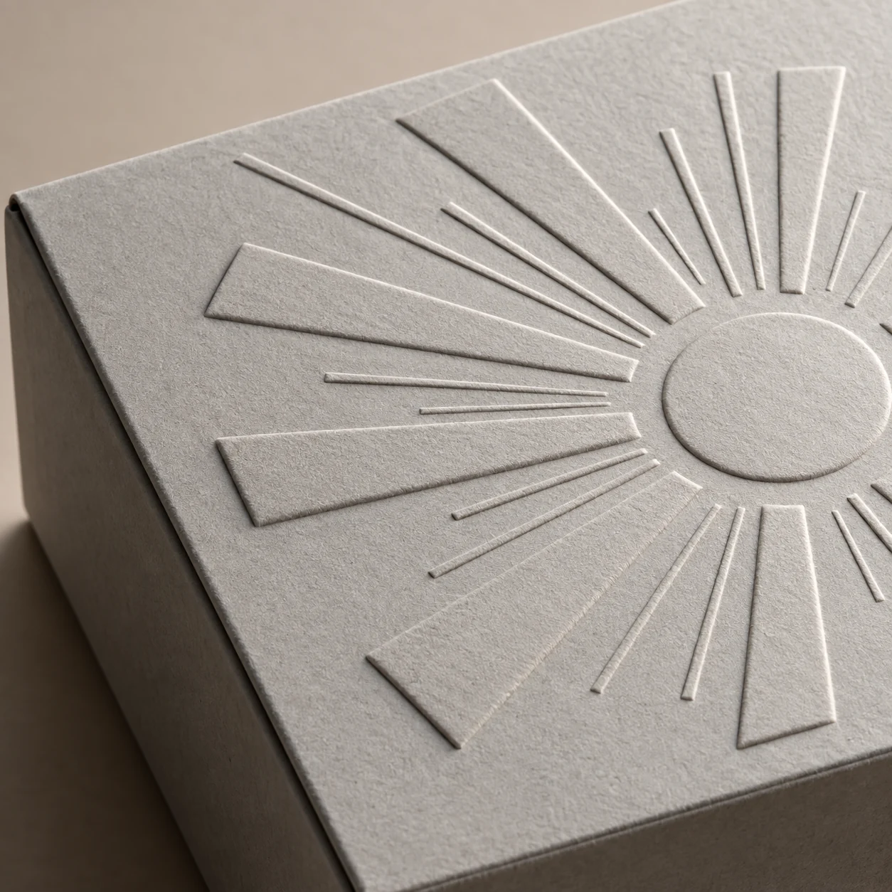 Illustrative concept of raised blind embossing on a paperboard box